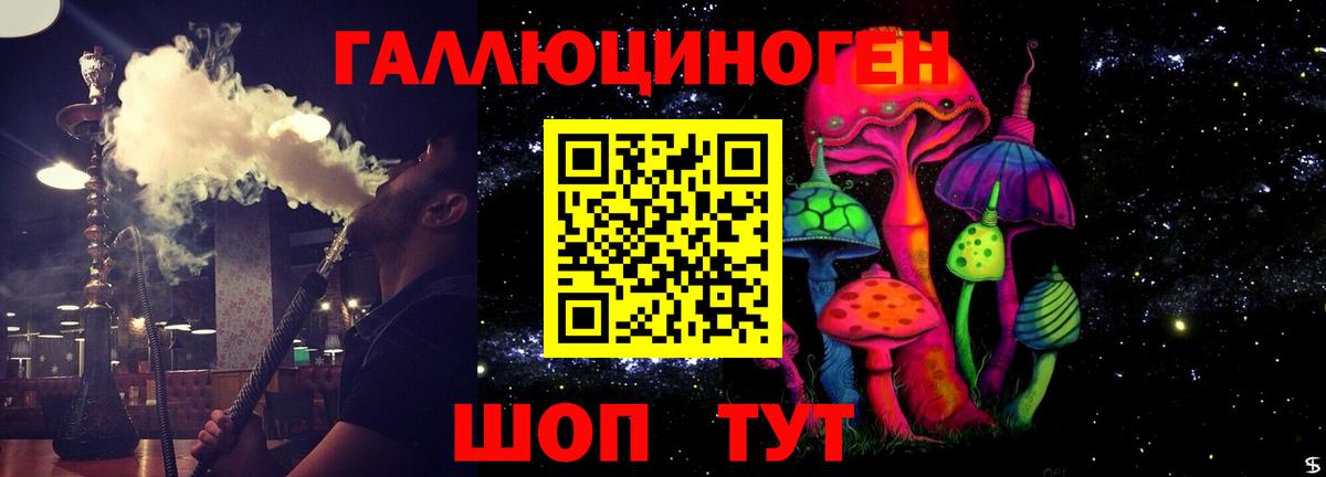 Щёкино  Псилоцибиновые грибы мухоморы  Вход с VPN 